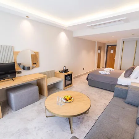 Residence 222 Hisaroenue-3